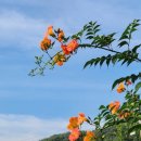 성자골3 이미지