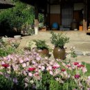 엄마집민박 이미지