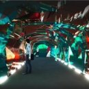 태백 관광지 투어 이미지