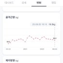 베리 핏 피티 이미지