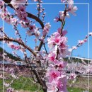 진선미농장 이미지