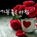 선원모터스 Daum카페