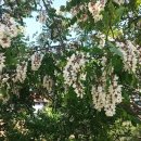 춘장대마트 이미지