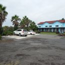 바로올레 이미지