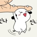 아나파의원 네이버블로그