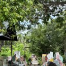 서해동물병원 | 나트랑 원숭이섬 몽키아일랜드 4살 아이랑 자유투어