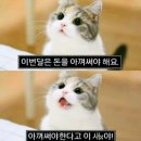 블룸제이 네이버블로그