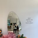 모들&모다들엉 이미지