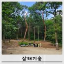 서울국유림관리소 | 성북구산책로탐방 서울국유림관리소 삼태기숲 산책 숲체험