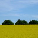 사하라작은도서관 이미지