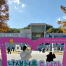 종이비행기 | 뒤늦은 난생처음 도서관 방문기, 종이비행기 대회 후기