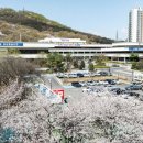의왕시청 수도권일보