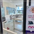 배방동물병원 이미지