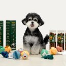 (주)에이치엔에프 이미지