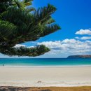 서진한의원 이미지