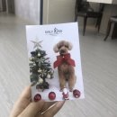 데일리도그(DAILY DOG) 네이버블로그