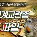 마미하트