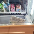 중기 효자숲 | 4월 중기