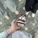 다연김밥 | 등산초보 수락산 기차바위 코스 (장암역-석림사-기차바위-주봉)