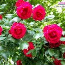 목포시민문화체육센터 이미지