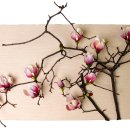 안국3층약국 이미지