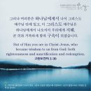 더사랑의교회 이미지