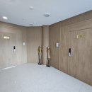 스테이퐁당 이미지