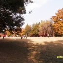 꽃피리농산