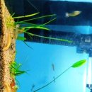 캠퍼스타운한의원 이미지