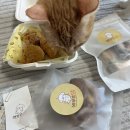 배부르댕 이미지