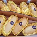 면목과일 이미지