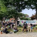 콩콩어린이공원 이미지