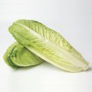 로메인 티스토리
