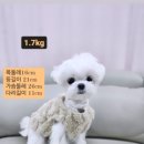 다온멍스쿨 네이버블로그