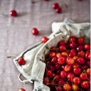 블리비의원 이미지