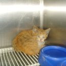 박지호 동물병원 이미지