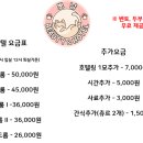 고양이 미용&호텔 뽀냥 이미지