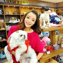 홈플러스 동수원점 수족관 이미지