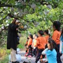 여주-1110 이미지