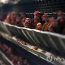 윤정희농장 이미지