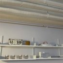 콩이랑 초이랑 이미지