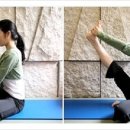 교정요가 이미지