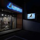 펫스타일 이미지