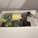 거산(아) 이미지