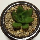 동운농장 이미지