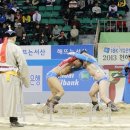부흐
