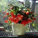 사랑합니다 LOVE 이미지