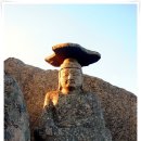 선본사 - 1782 | 선본사