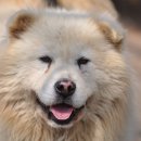 인성