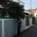 탑에스씨 | [Amorshaee] 아모르샤이 백 리본 탑 리뷰 (착샷O)